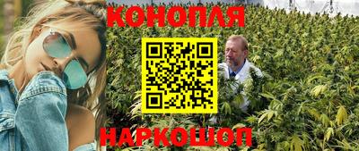мяу мяу мука Дубна