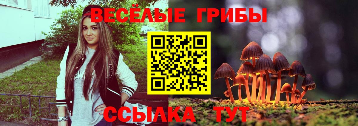 Псилоцибиновые грибы Cubensis Клинцы