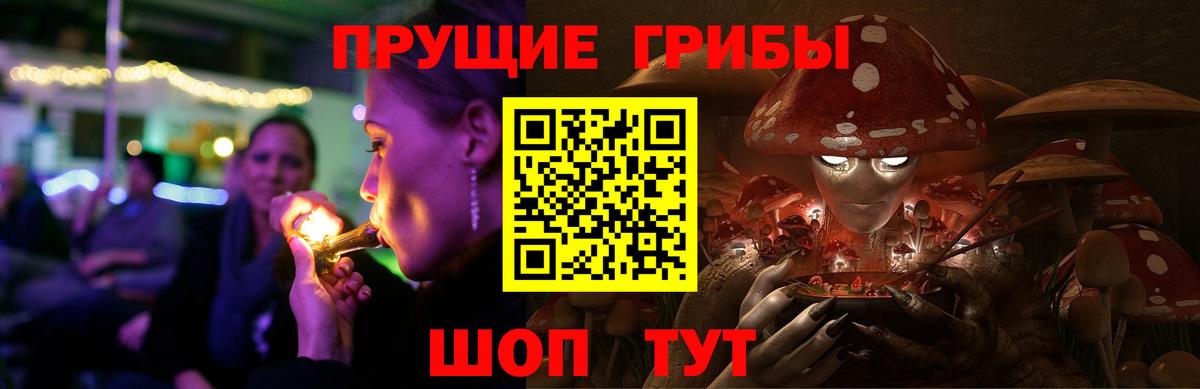 Клинцы  Галлюциногенные грибы Cubensis  Вход с VPN 